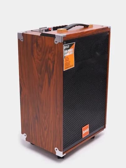 Колонка караоке BAAB B-Q12 с 2 беспроводными микрофонами — AKSAUZ-BQ12BQ8KALONKA-ЧЕРН