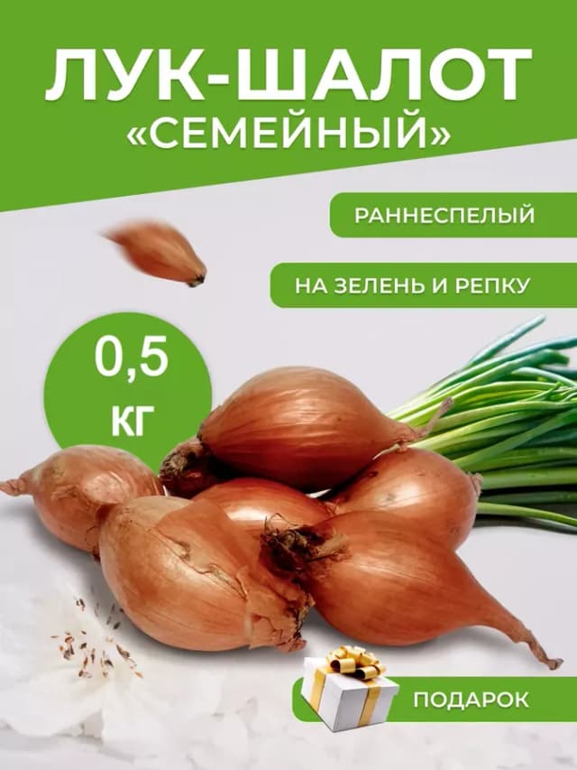 Лук-севок шалот Семейный 0,5кг