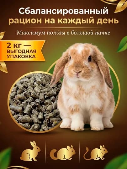Гранулированный корм для грызунов и кроликов полнорационный. Фасовка 1 кг и 2 кг — АЛИСА-V1ГРЫЗУНАМ-ЗЕЛЕН