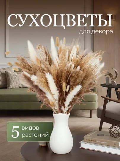 Сухоцветы букет для декора и интерьера натуральные сухие — AER-СУХОЦВЕТ-БЕЖМЕЛ