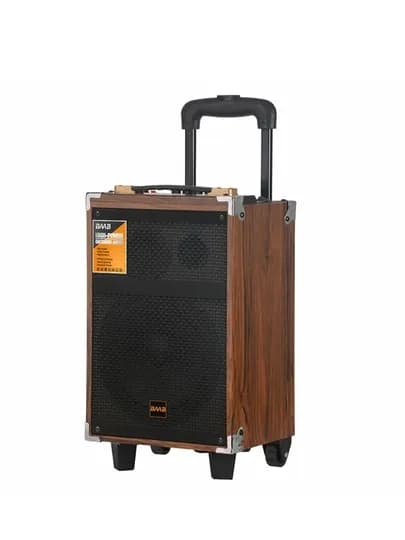 Колонка караоке BAAB B-Q12 с 2 беспроводными микрофонами — AKSAUZ-BQ12BQ8KALONKA-ШОКОЛ
