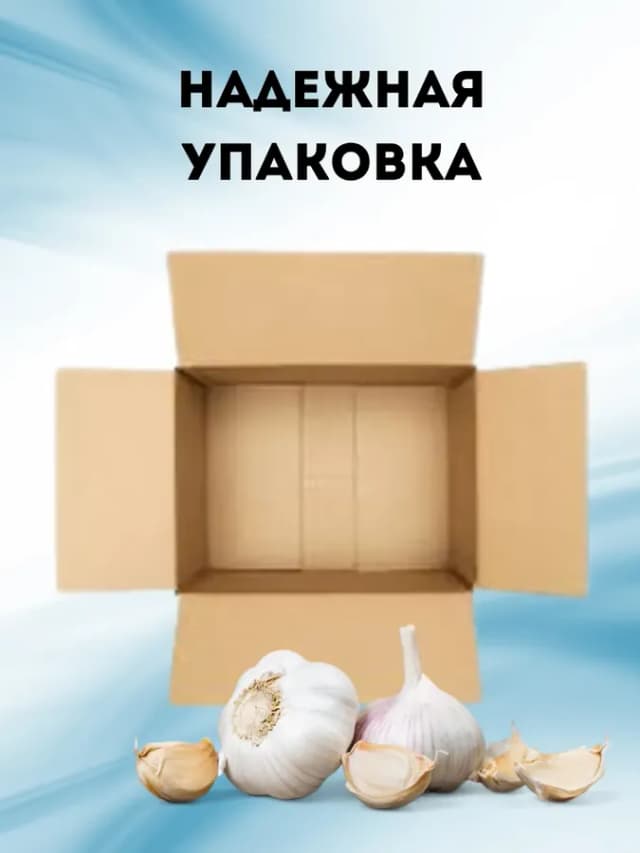 Чеснок яровой на посадку сорт Добрыня