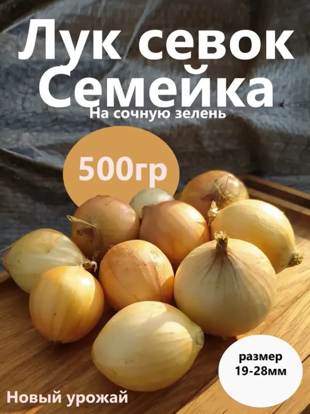 Лук семейка севок для посадки на зелень