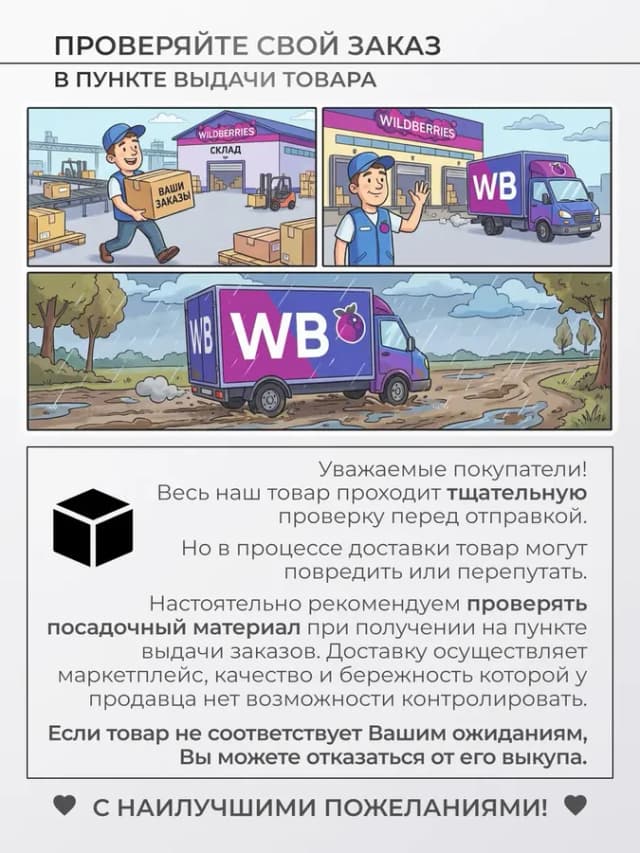 Лук шалот луковицы на посадку Монастырский 0,3 кг