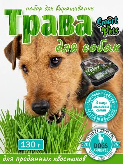 Трава для кошек и собак Smart Pets, набор для выращивания, 130 г — PETS01-2TGA01P-2TGAP14