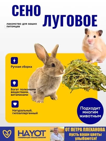 Сено луговое для домашних питомцев от Петра Плеханова кролик морская свинка, шиншилла — TPP-XASHAK-4LITR