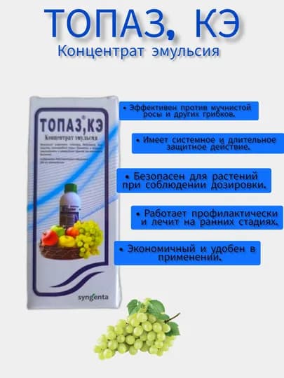 Топаз, КЭ — САД8-TOPAZKE