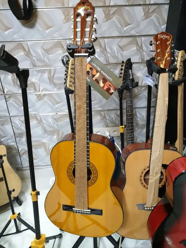 SAR Гитара Washburn C-40E
