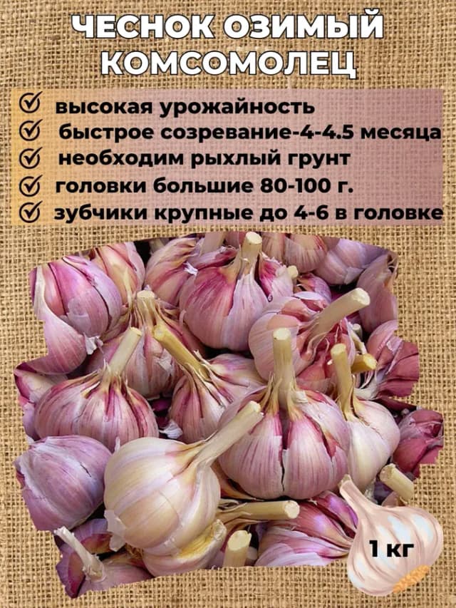 Чеснок озимый Комсомолец, упаковка 1 кг