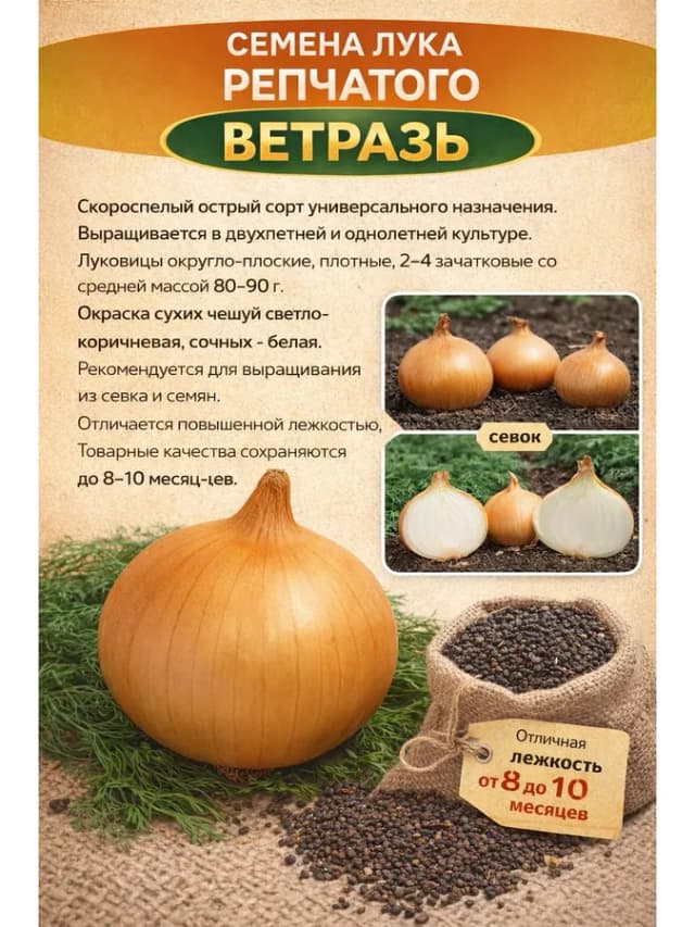 Лук Ветразь 1 пачка