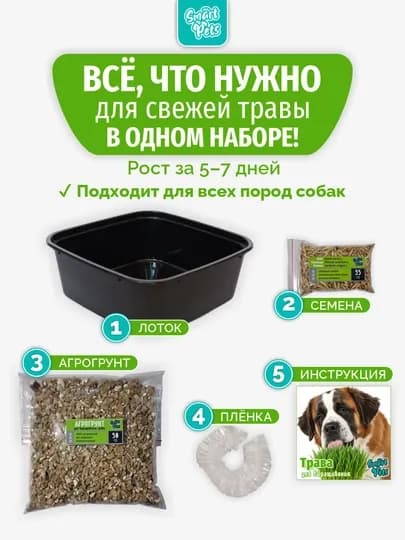 Трава для кошек и собак Smart Pets, набор для выращивания, 130 г — PETS01-2TGA01P-2TGAP14