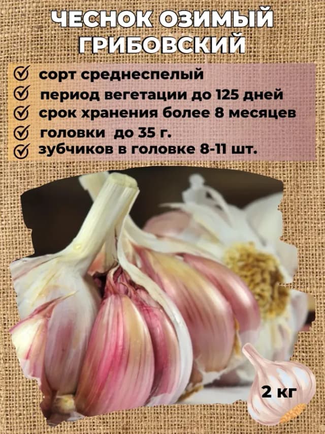 Чеснок озимый на посадку Грибовский, 2 кг