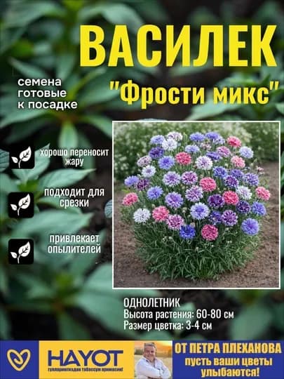 Семена васильков от Петра Плеханова: Полька Дот, Фрости, Императорская, Смесь — TPP-ВАСИЛЁК-СИРЕН