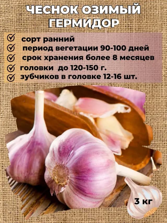 Чеснок озимый на посадку Гермидор, 3 кг