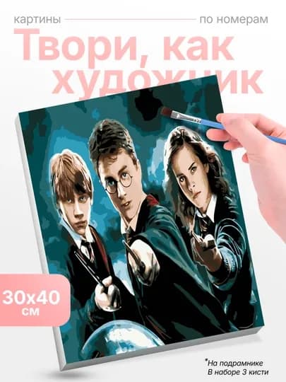 Картина, рисование по номерам Skystore Люди, холст на подрамнике, 30 x 40 см — SKYST0R-LYUDI8-ЗОЛОТ