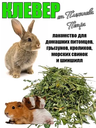 Клевер сушёный для грызунов, морских свинок, хомяков, кроликов морских свинок, шиншилл — TPP-KLEVER-PRESS