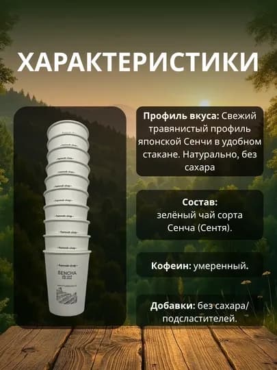 Зеленый чай в стаканчиках, 10 стаканчиков, разные вкусы — 9898-ZELECHAYSTN-СЛНКОСТ