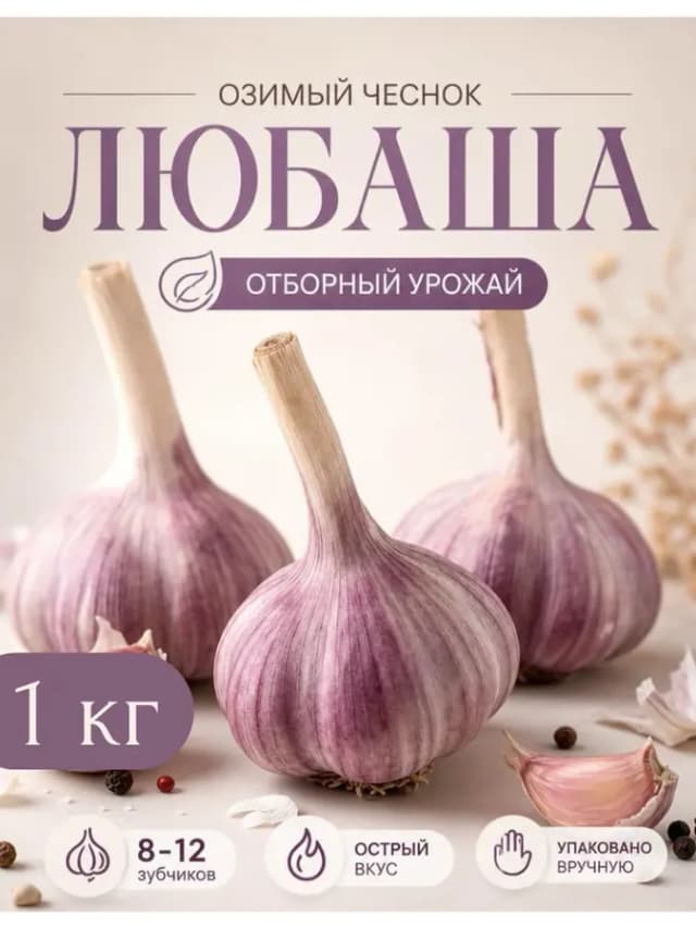 чеснок на посадку сорт Любаша