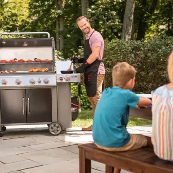 Gazli panjara Weber Genesis II EP-435 GBS