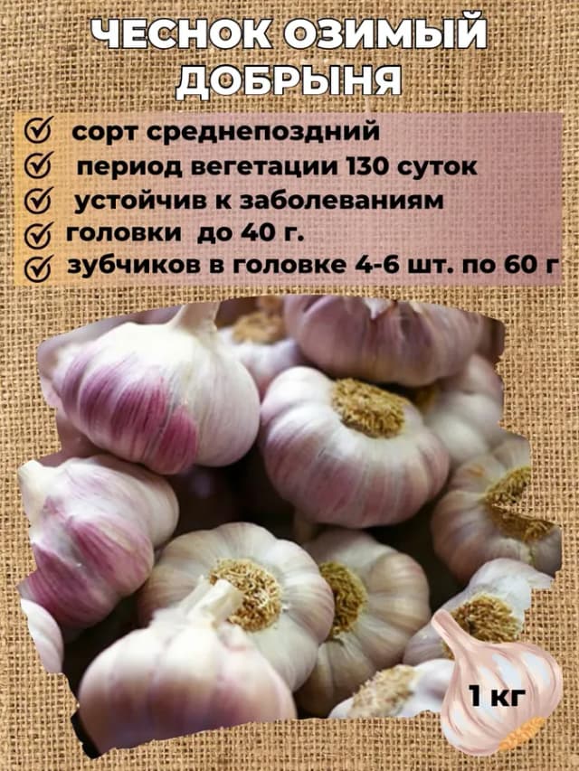 Чеснок озимый на посадку Добрыня, 1 кг