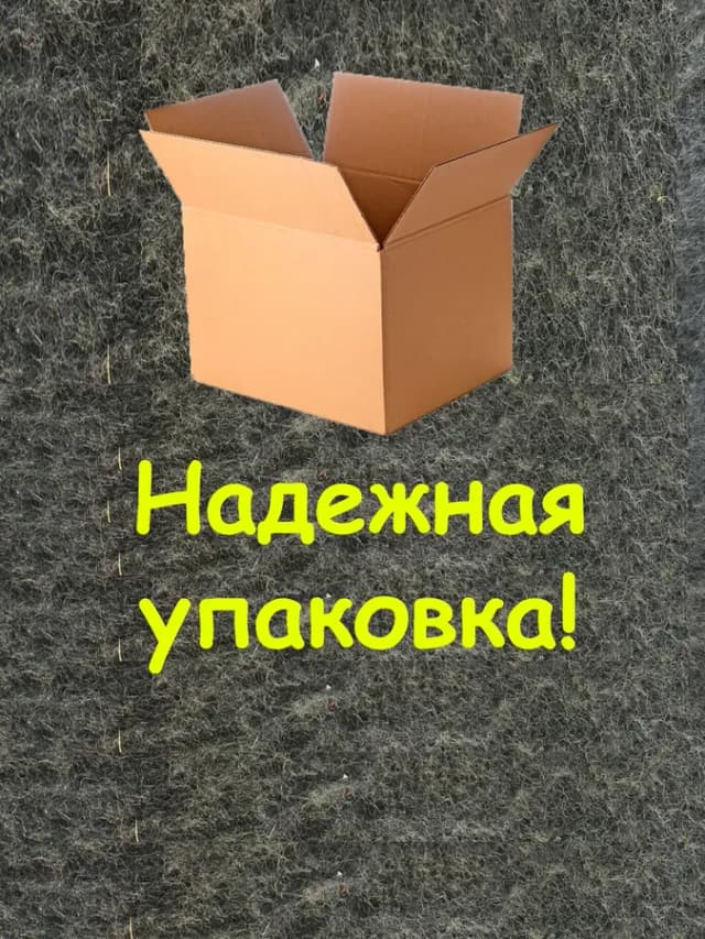 Лук севок озимый для посадки на репку и зелень