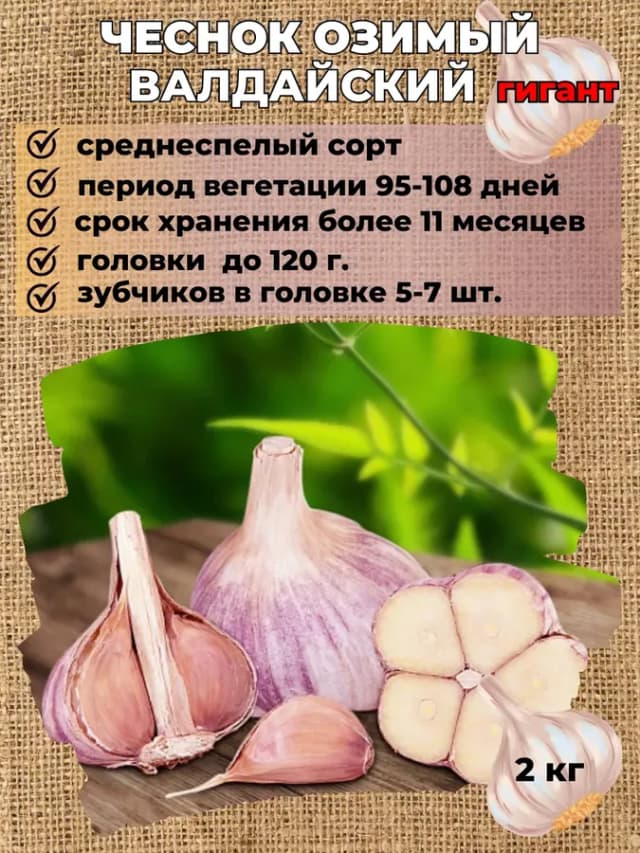 Чеснок озимый на посадку Валдайский 2 кг