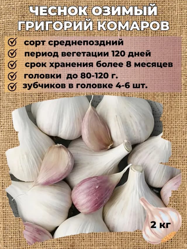 Чеснок озимый Григорий Комаров, упаковка 2 кг