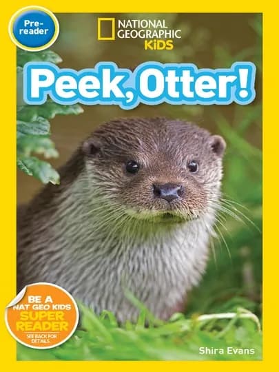 National Geographic Kids: Набор 30шт, 3шт или 1шт по выбору — USATOYS-PREREADER-КРЕМОВ