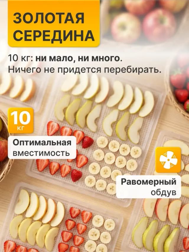 Сушилка для овощей и фруктов электрическая с конвекцией