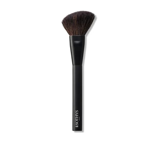 Blush brush 200002
